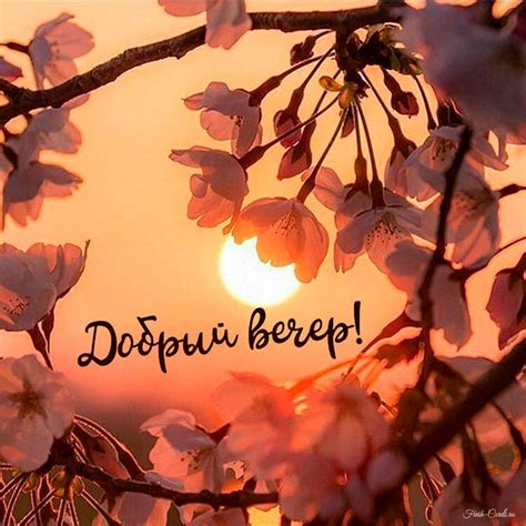 Весенние открытки добрый вечер