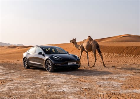 3 compelling Tesla Model 3 alternatives from brands that value the ...