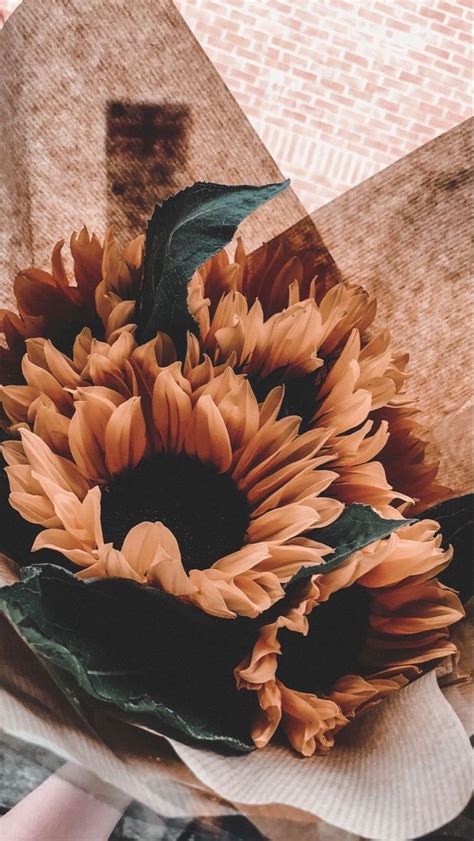 flowers | Цветочные фоны, Натуральный, Подсолнухи