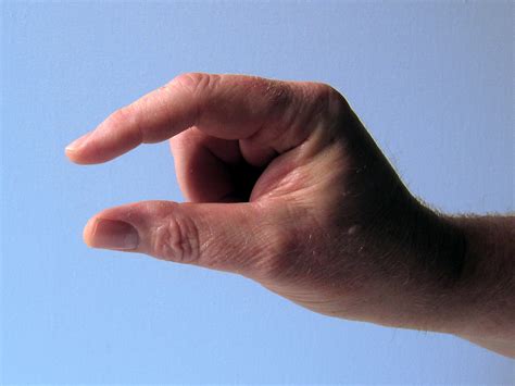 Free Images : hand, leg, distance, small, arm, note, close up, human ...