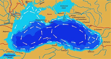 Течения Черного моря