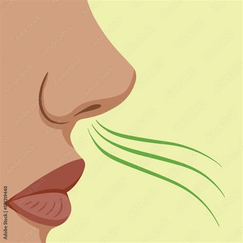 Women face from side, smelling something bad. Foul smell vector ...