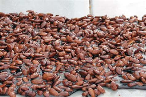 Nuts Roast Roasted - Free photo on Pixabay