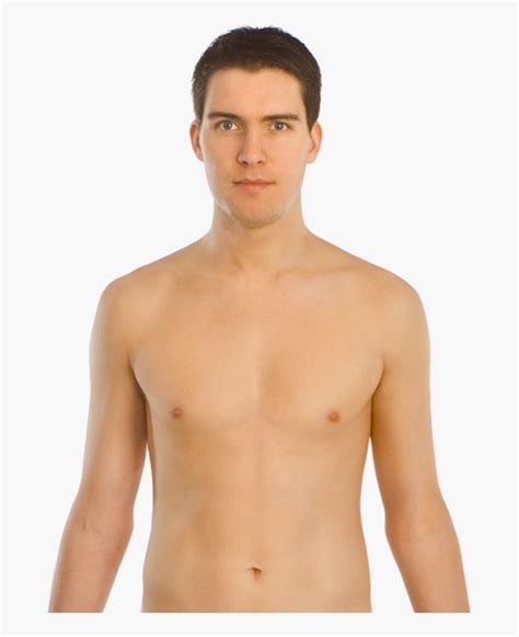 upper body front hd png  transparent png image pngitem