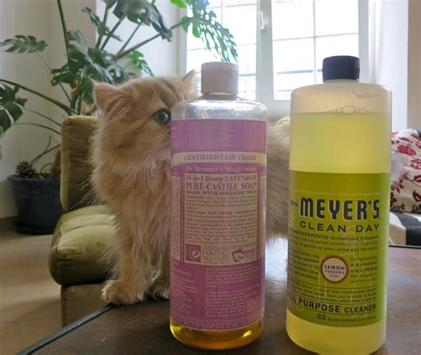 Pet-Friendly DIY cleaning products | Meow Lifestyle