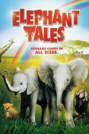 Elephant Tales (2006) — The Movie Database (TMDb)