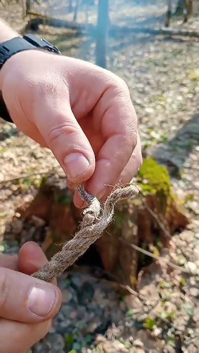 Сбор берёзового сока #outdoor #выживание #березовый сок #поход - YouTube