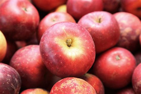 apple varieties history  kevin carnahan blog