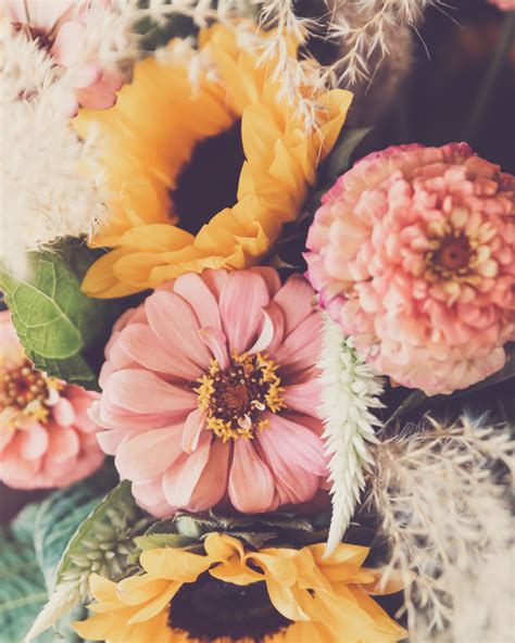 Flower Arrangement Free Stock Photo - StockSnap.io