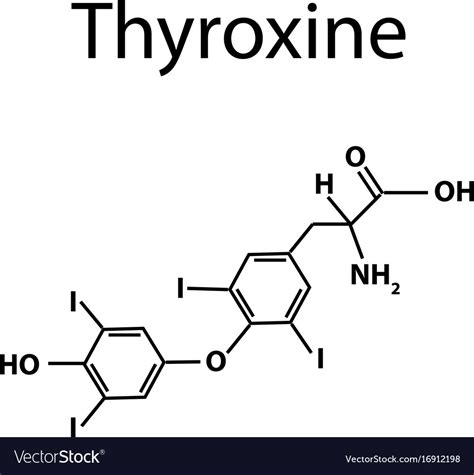 Chemical molecular formula hormone thyroxine Vector Image
