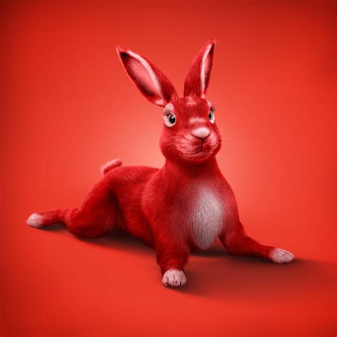Haas Austria on Behance