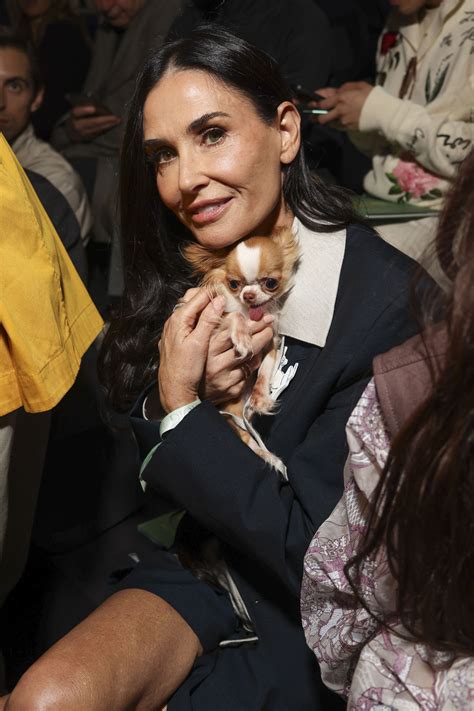 Delon nebol jediný! Bardot milovala psy viac ako mužov, Brenda si