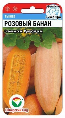 тыква РОЗОВЫЙ БАНАН, Сибирский Сад