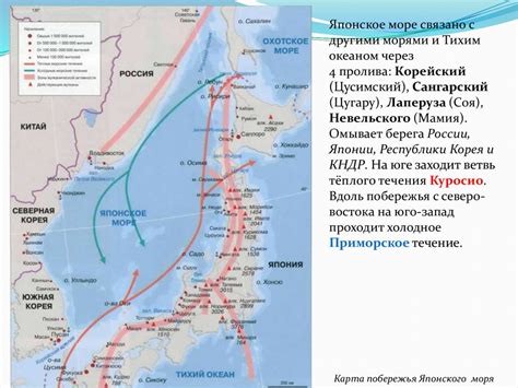 Японское море - презентация онлайн