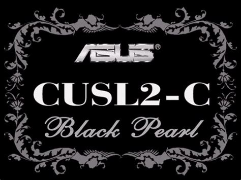 Asus CUSL2-C Black Pearl – Hartware