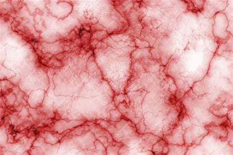 Premium Photo | Texture of a blood vessel