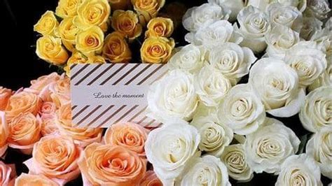 Цветы в Иркутске с доставкой | FASHION FLOWERS - Букеты от 500₽ на дом ...