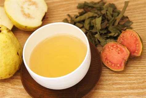 Trà Lá Ổi Và Lợi Ích Không Ngờ Từ Thiên Nhiên - Monni.vn