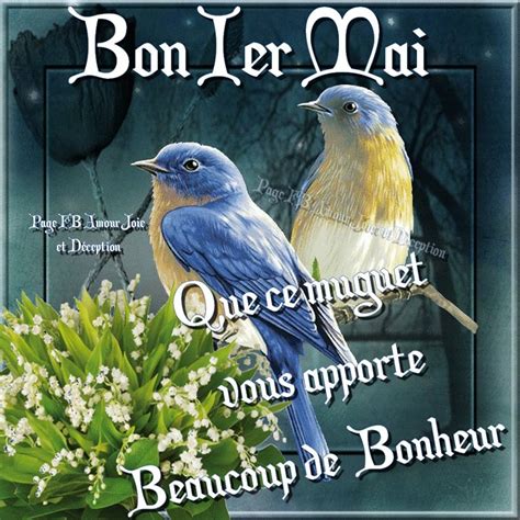 23 Images et photos avec tag Muguet - BonnesImages