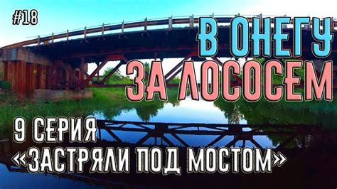 Поход на катере из Питера в Онежское Озеро за лососем. 9 серия ...