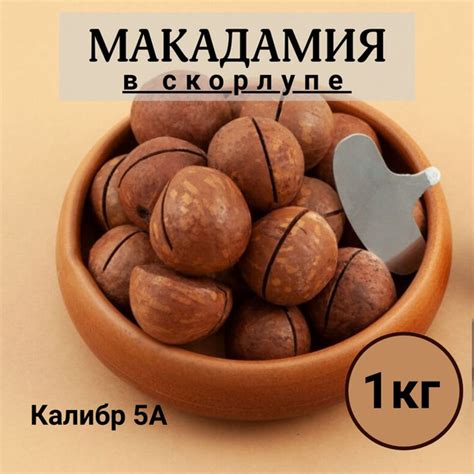 Орех Макадамия в скорлупе1кг с ключиком - купить с доставкой по ...