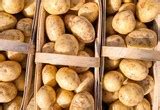 ДЖЕС таблетки - инструкция по применению, цена, дозировки, аналоги ...