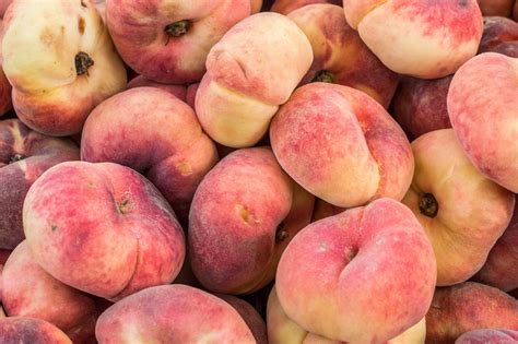 4 types of peaches to know this summer – Artofit