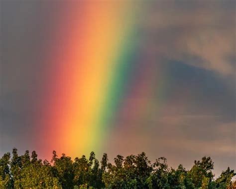 Rainbow | Пикабу