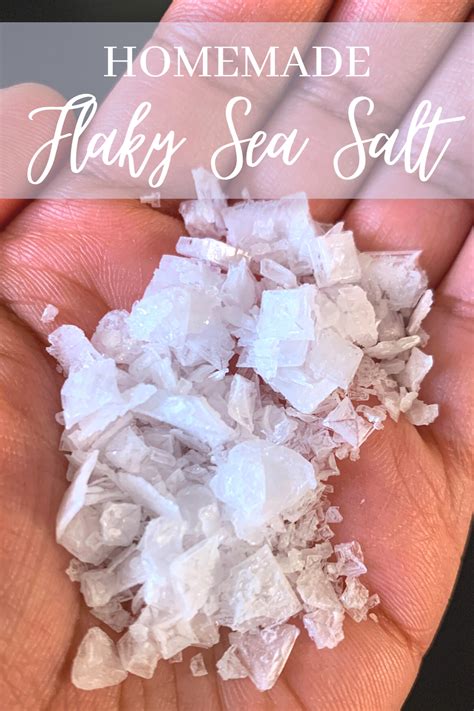 Turn cheap kosher salt into fancy flaky salt crystals – Artofit
