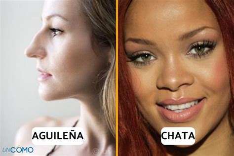 Tipos de nariz - Nombre e imagen, ¡descubre cuál es la tuya y sus ...