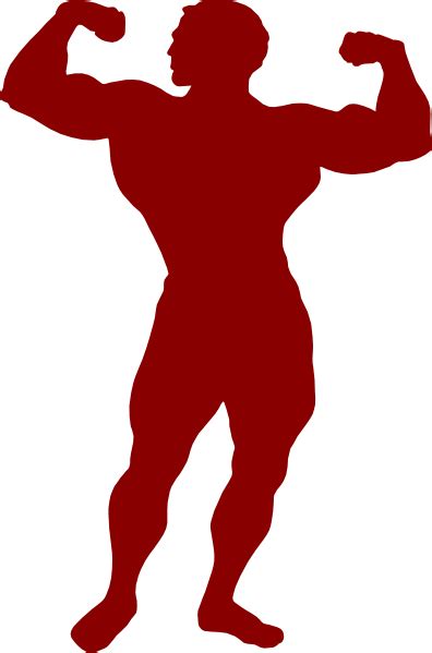 Мышцы PNG