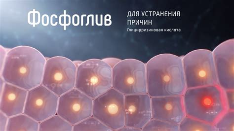 Фосфоглив "Защита печени с удвоенной силой" - YouTube