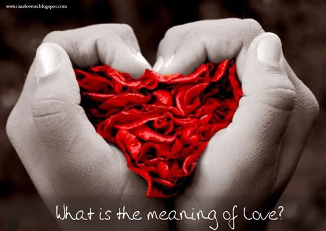 The Meaning Of Love: The Meaning Of love