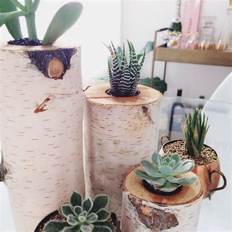 indoor plant display ideas   borderline genius indoor plant