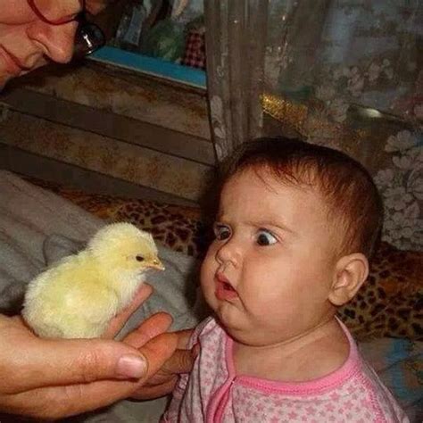 Pin by Özcan on Tiere | Funny baby pictures, Funny babies, Funny baby faces