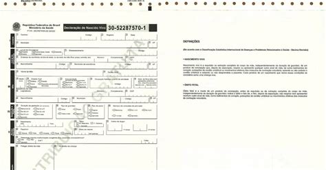 O Que É Dnv Na Certidão De Nascimento - Enfermagem & Obstetrícia: Declaração de Nascido Vivo - DNV