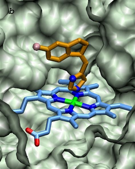 information  selection  protein crystal pdb structure  docking