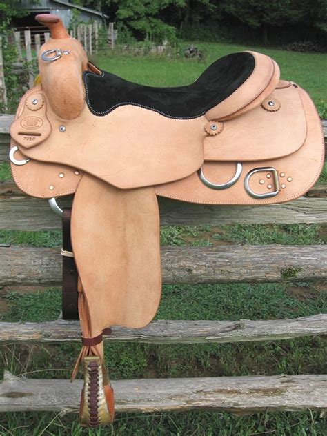 Training Saddle