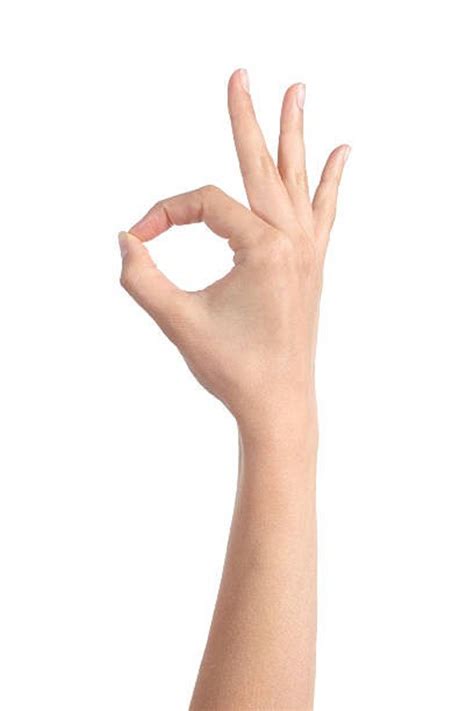 Is Souirensu Right For You? (Take This Quiz!) Image 9