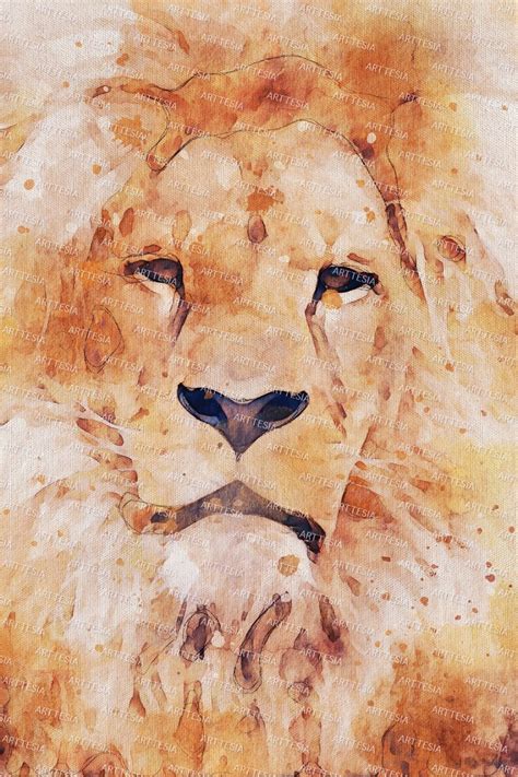 African Lion Watercolor Painting Print Digital Download, Illustration ...