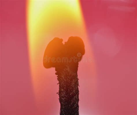 Candle Wick Flame - Macro Photography Stock Image - Image of close ...