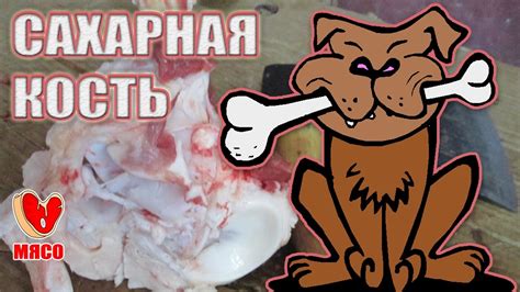 Сахарная кость - YouTube