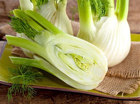 Fennel