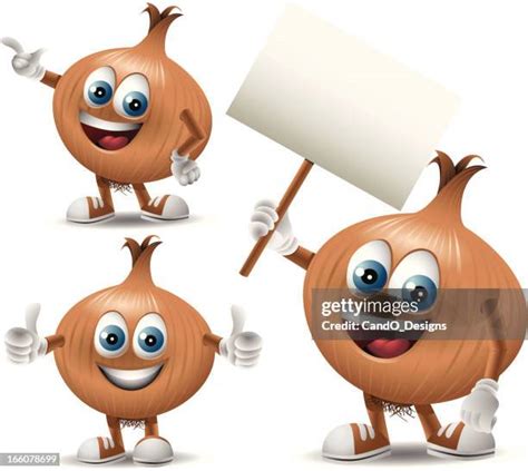 onion clip art   premium high res pictures getty images