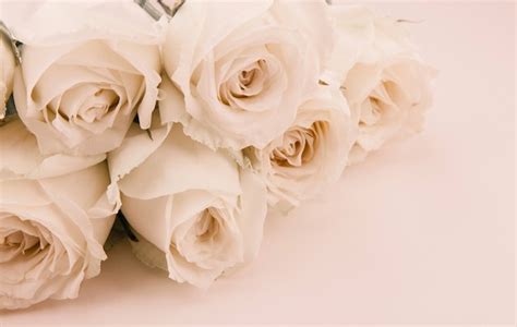 Premium Photo | Rose vintage flowers