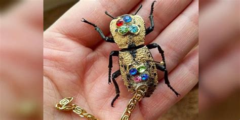 beetles   turned  jewelry  mexico  dodo