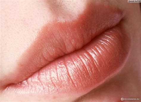 Губная помада Rimmel Moisture Renew - «Рекомендую! Хорошая помада ...