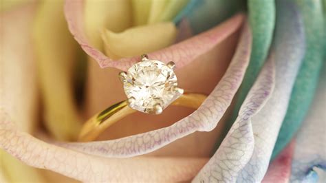 popularity  promise rings  growing heres  luxlife magazine