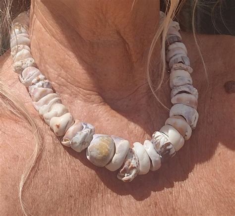 bigpuka shell necklace puka shell necklace large puka shell necklace