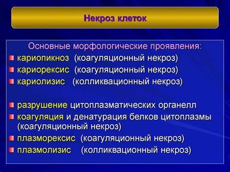 Введение в патоморфологию. Дистрофии, некроз - презентация онлайн